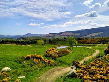 Scenic view of landscape against sky