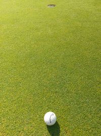 High angle view of golf ball on grass