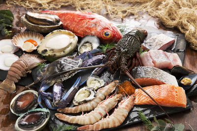 High angle view of fish in container