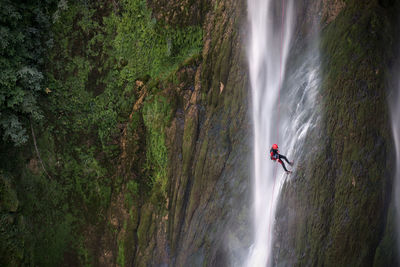 Scenic view of waterfall in forest