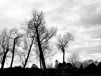 Low angle view of bare trees against sky