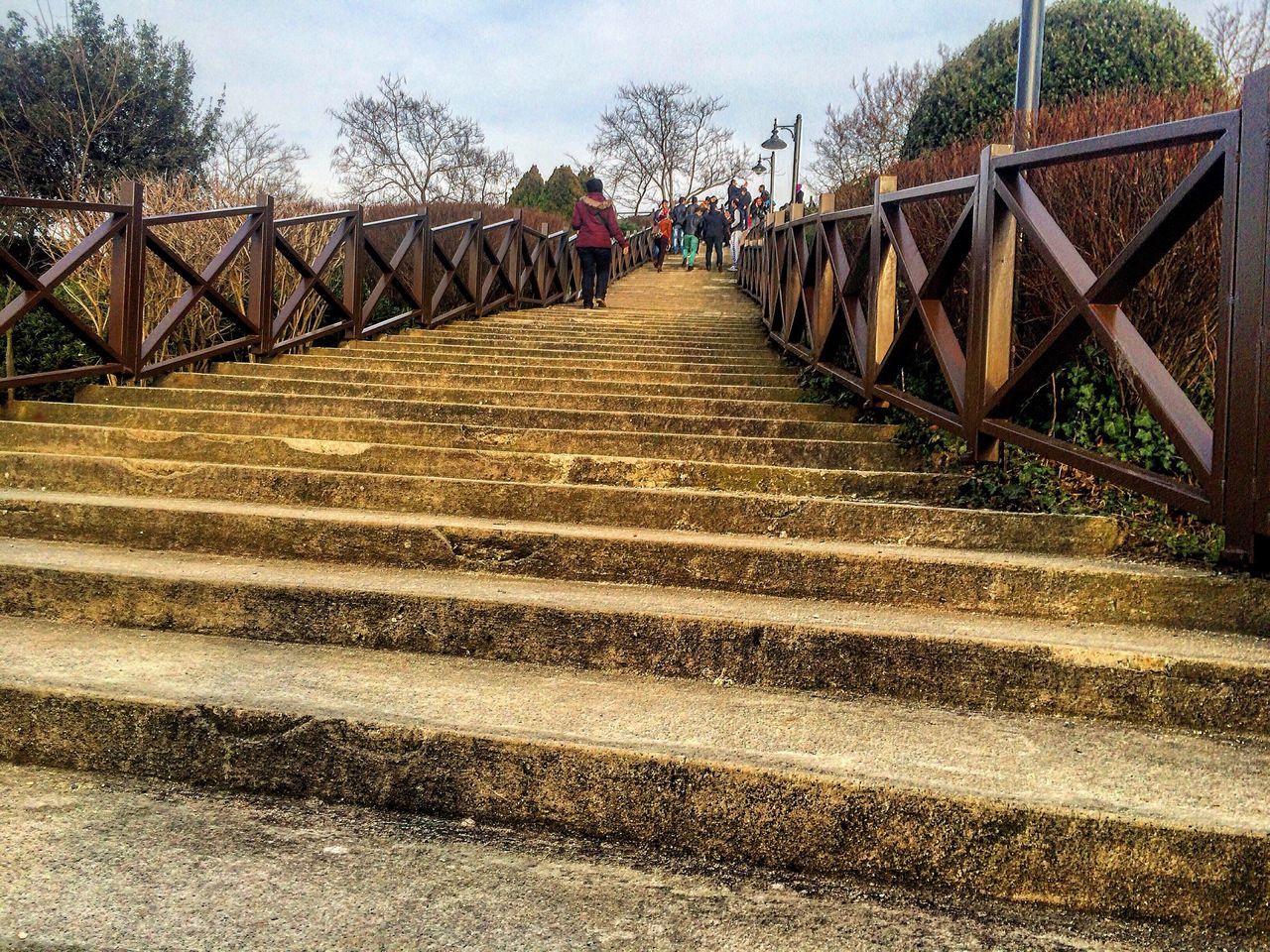 the way forward, railing, diminishing perspective, steps, steps and staircases, tree, built structure, vanishing point, sky, architecture, staircase, sunlight, walking, day, outdoors, low angle view, shadow, connection