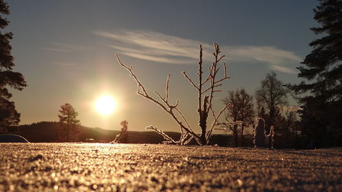 Scenic view of landscape at sunset