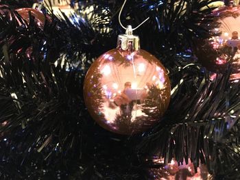 Low angle view of illuminated lanterns hanging on christmas tree