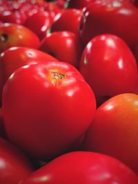 Full frame shot of tomatoes