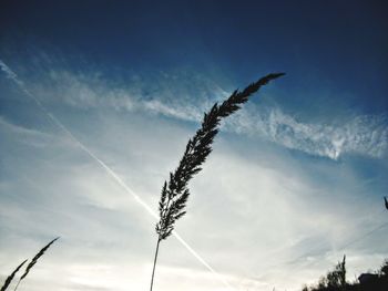 Low angle view of vapor trail against sky