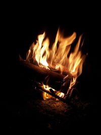 Close-up of bonfire at night