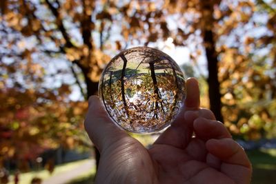 Cropped hand holding crystal ball against trees