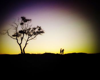 Silhouette of trees on landscape