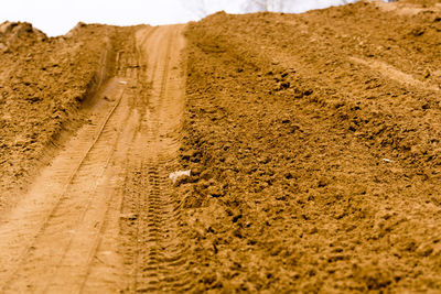 Tire tracks on dirt road