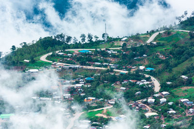 High angle view of trees and buildings in city