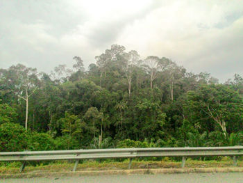 Trees on landscape against cloudy sky