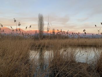 Scenic view of lake against sky during sunset