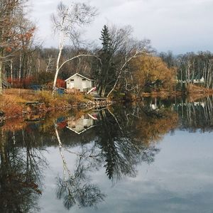Reflection of trees in water
