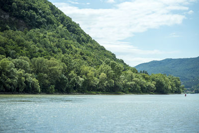 Scenic view of lake by trees against sky