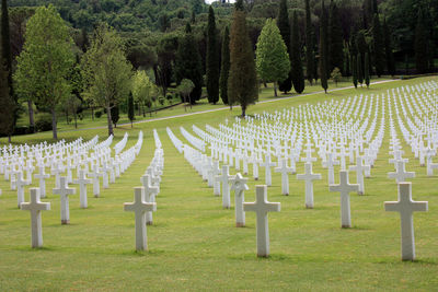 Usa military cemetery of second world war with crosses of dead soldiers resting in florence