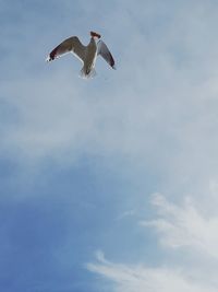 Low angle view of bird flying against sky