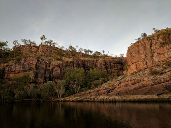 View of trees at riverbank