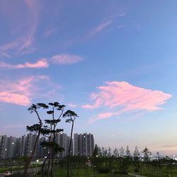 Low angle view of buildings against sky during sunset