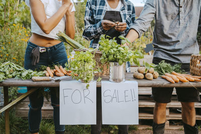 Midsection of male and female volunteers selling vegetables in farmer's market