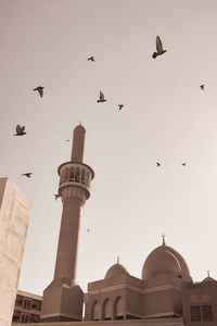 Low angle view of a mosque against flying birds with a nostalgic tone in dubai grand souq. 