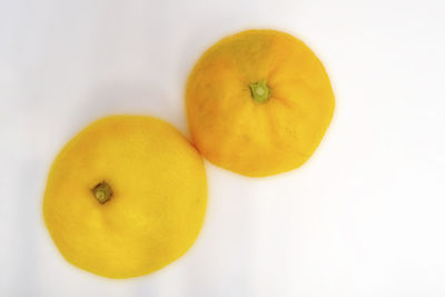 High angle view of apple against white background