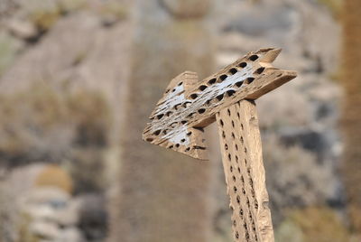 Close-up of wooden arrow symbol