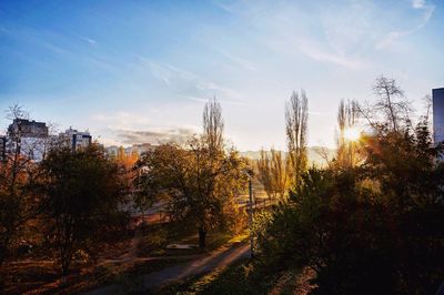 Plants and trees against sky during autumn