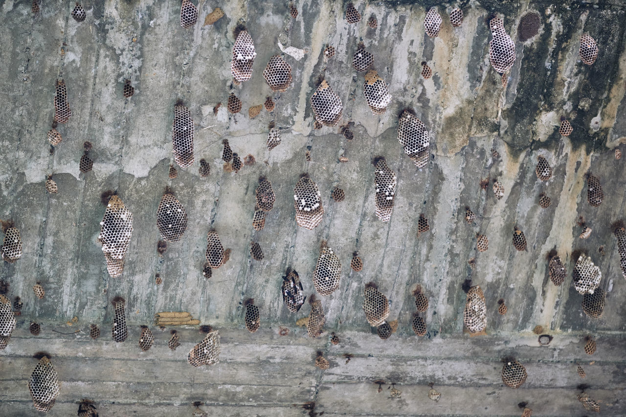 FULL FRAME SHOT OF OLD WEATHERED WALL WITH RUSTY