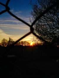 Silhouette of trees at sunset