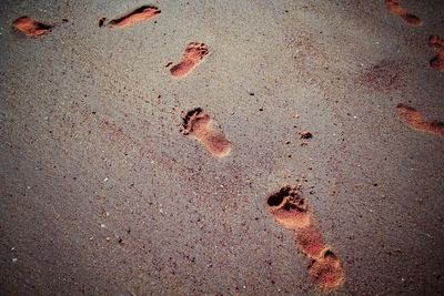 High angle view of footprints on sand