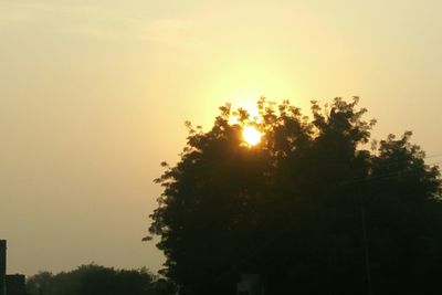 Low angle view of silhouette trees against clear sky