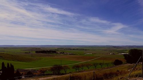 Scenic view of agricultural field against sky