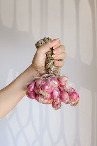 Cropped hand of woman holding shallot against white wall