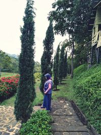 Rear view of woman walking on footpath amidst trees