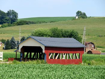 Scenic view of grassy field against clear sky