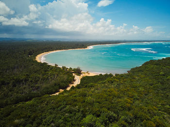 Vacia la talega puerto rico aerial beach landscape with green forest from drone shot on a cloudy day