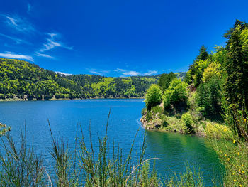 Scenic view of lake against blue sky