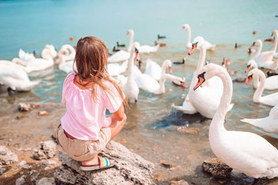 Rear view of woman with birds in water