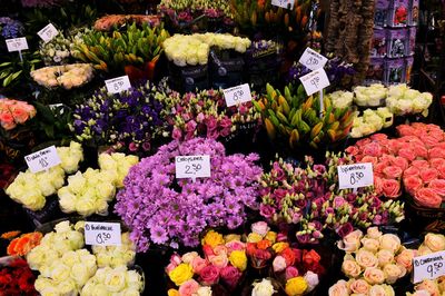 Various flowers for sale at market stall