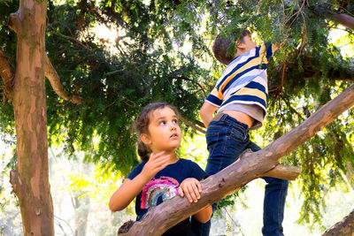 Low angle view of friends against trees and plants