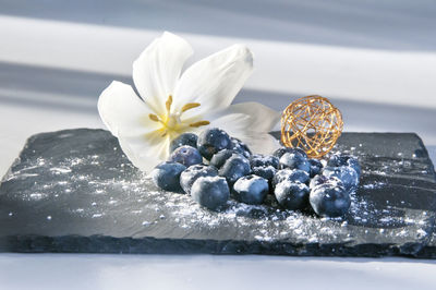 Close-up of white rose on table