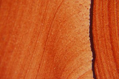 Full frame shot of textured surface