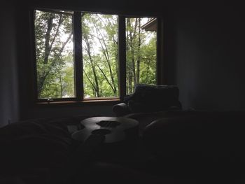 Trees seen through window at home