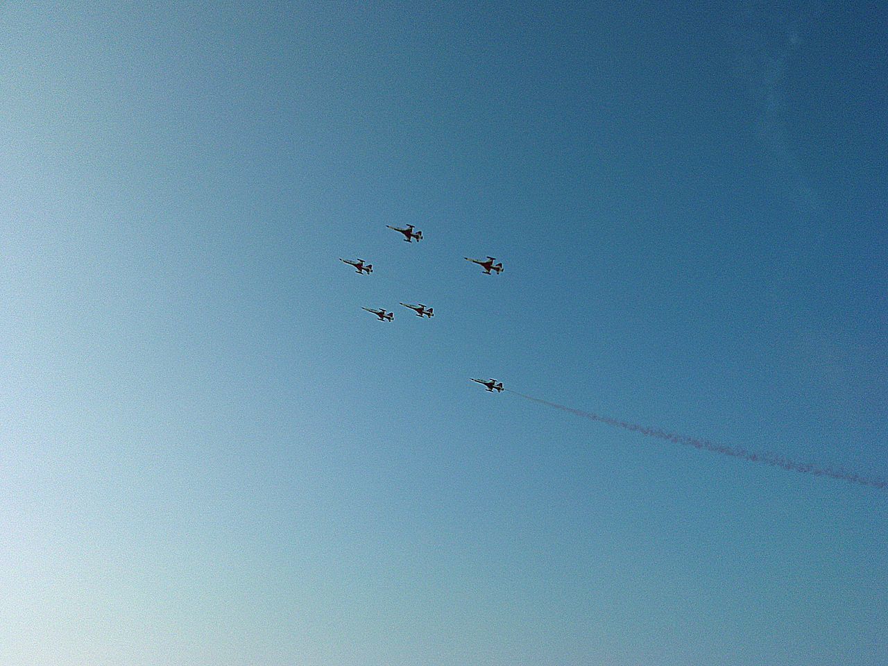 LOW ANGLE VIEW OF BIRDS FLYING IN SKY