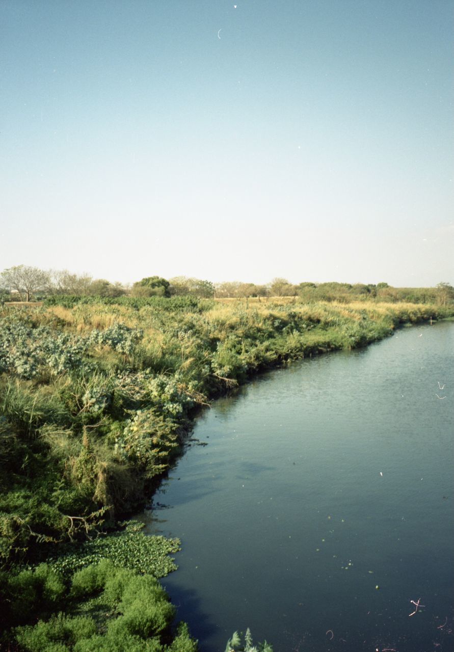 nature, reflection, sky, water, scenics - nature, tranquility, plant, beauty in nature, clear sky, tranquil scene, no people, environment, river, landscape, body of water, tree, natural environment, morning, land, non-urban scene, day, outdoors, horizon, blue, shore, green, coast, idyllic, reservoir, copy space, growth, sunlight