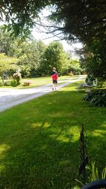 Rear view of people walking on grassy field in park