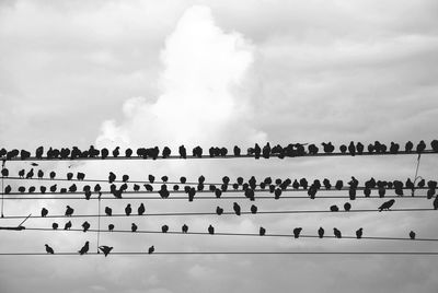 High angle view of people against sky