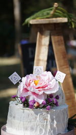 Close-up of pink flower on table