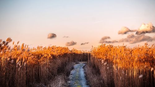 Scenic view of lake against sky during sunset